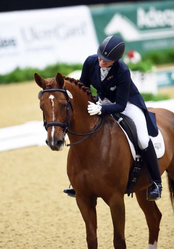 Horse and Rider